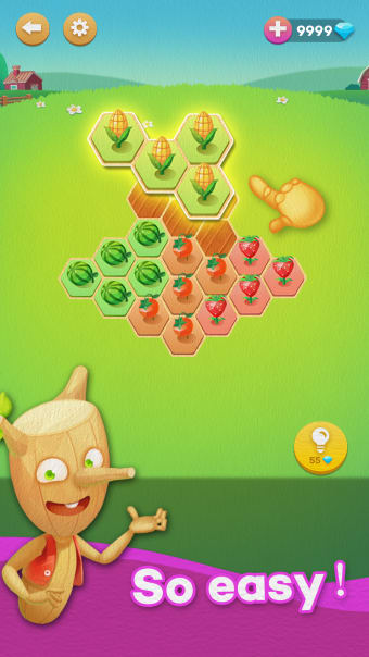 Hexa Farm :Simple Block Puzzle