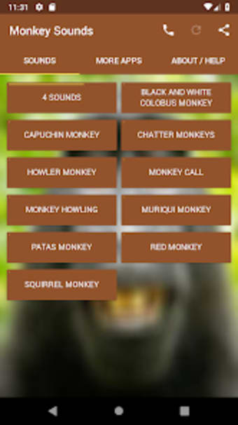Monkey Sounds