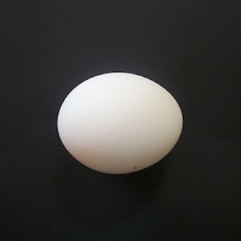 Egg 8