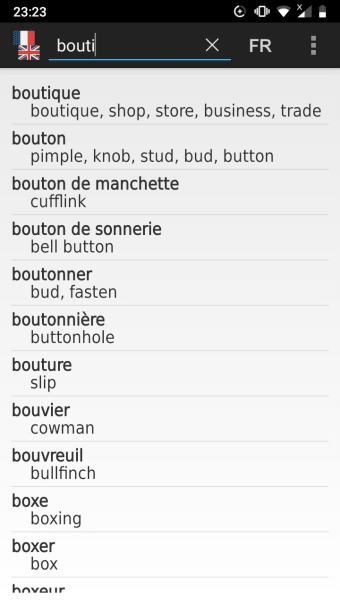 French - English offline dict.