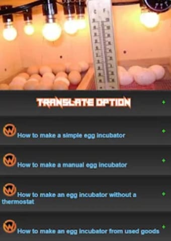 Learn to make an egg incubator