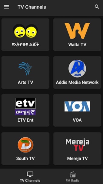 Ethiopian TV and FM Radio Live