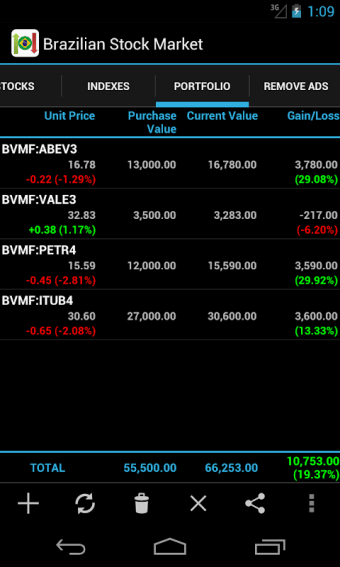 Brazilian Stock Market