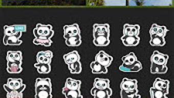 รูปภาพ 0 สำหรับ 