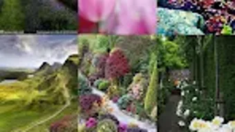 รูปภาพ 0 สำหรับ 