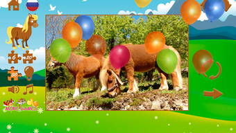  için 0 numaralı resim