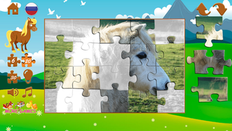 Изображение 0 для 