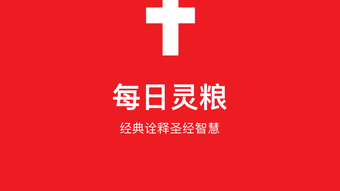 의 이미지 0
