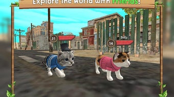  için 0 numaralı resim