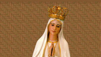 รูปภาพ 0 สำหรับ 