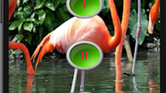 の画像0