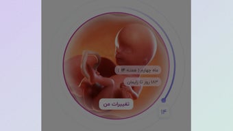 الصورة 0 لـ 