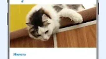 Изображение 0 для 