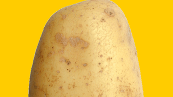 الصورة 0 لـ 