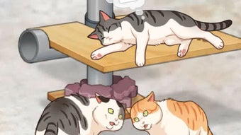 의 이미지 0