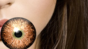 รูปภาพ 0 สำหรับ 