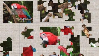  için 0 numaralı resim