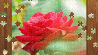 Flower Jigsaw Puzzles