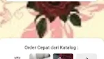 Afbeelding 0 voor 