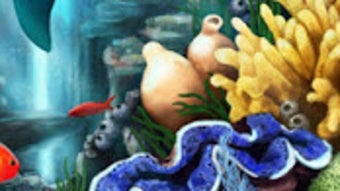 Hình ảnh 0 cho 