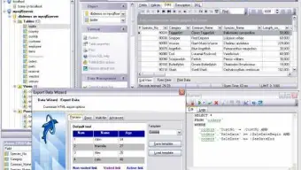 EMS MySQL Manager for Windows