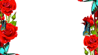 の画像0