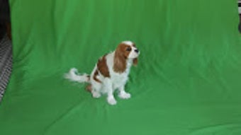 รูปภาพ 0 สำหรับ 