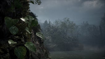 の画像0