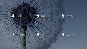 รูปภาพ 0 สำหรับ 