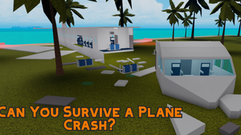 Can You Survive a Plane Crash