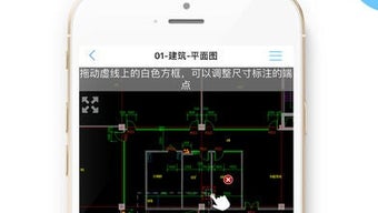 的第0张图片