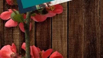  için 0 numaralı resim