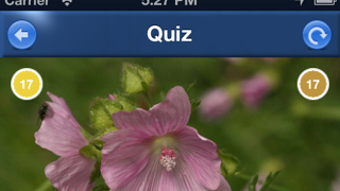 Изображение 0 для 