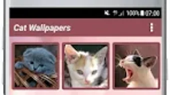 รูปภาพ 0 สำหรับ 