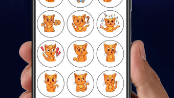  için 0 numaralı resim