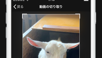 の画像0