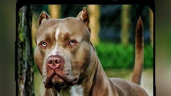 Imagem 0 para 