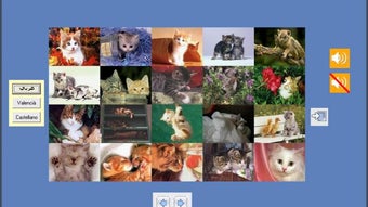 Imagen 0 para 
