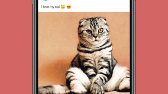 الصورة 0 لـ 