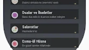 Afbeelding 0 voor 
