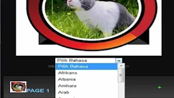 รูปภาพ 0 สำหรับ 