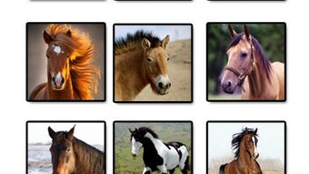 Horse Sounds and Ringtones