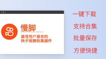의 이미지 0