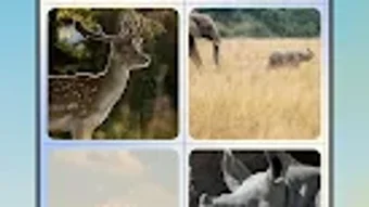 รูปภาพ 0 สำหรับ 