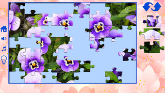 รูปภาพ 0 สำหรับ 