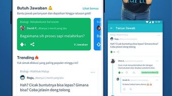 Gambar 0 untuk 