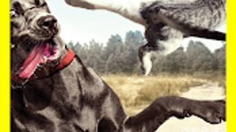 รูปภาพ 0 สำหรับ 