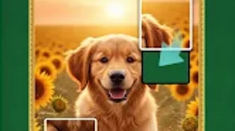 Bild 0 för 