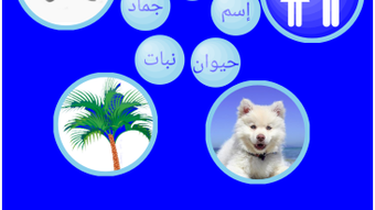 الصورة 0 لـ 