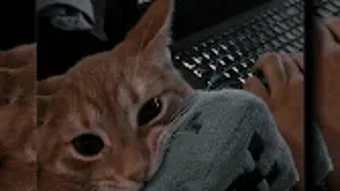 Obraz 0 dla 
